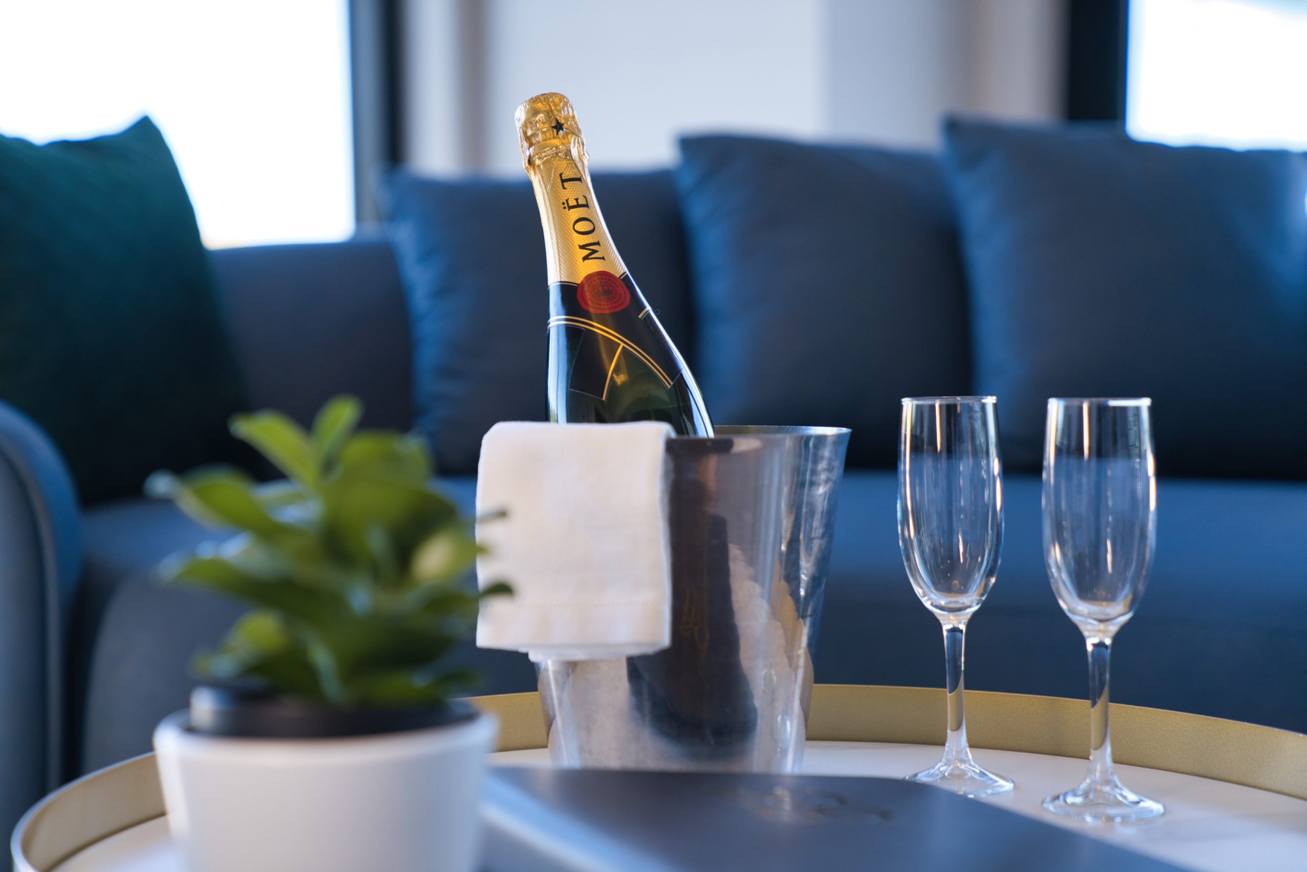 SOHO Suite-Celebration